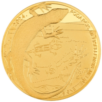 1 unca zlata | Crna gušterica + kutija